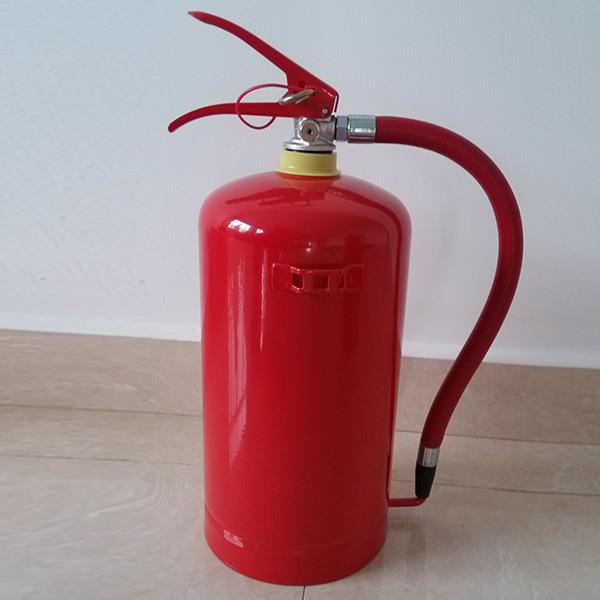 Extinctoarele aprobate de SABS